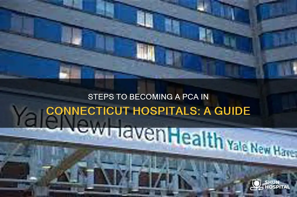 how to become a pca in a hospital in ct
