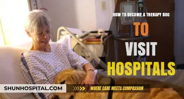 Steps to Train Your Dog as a Hospital Therapy Companion
