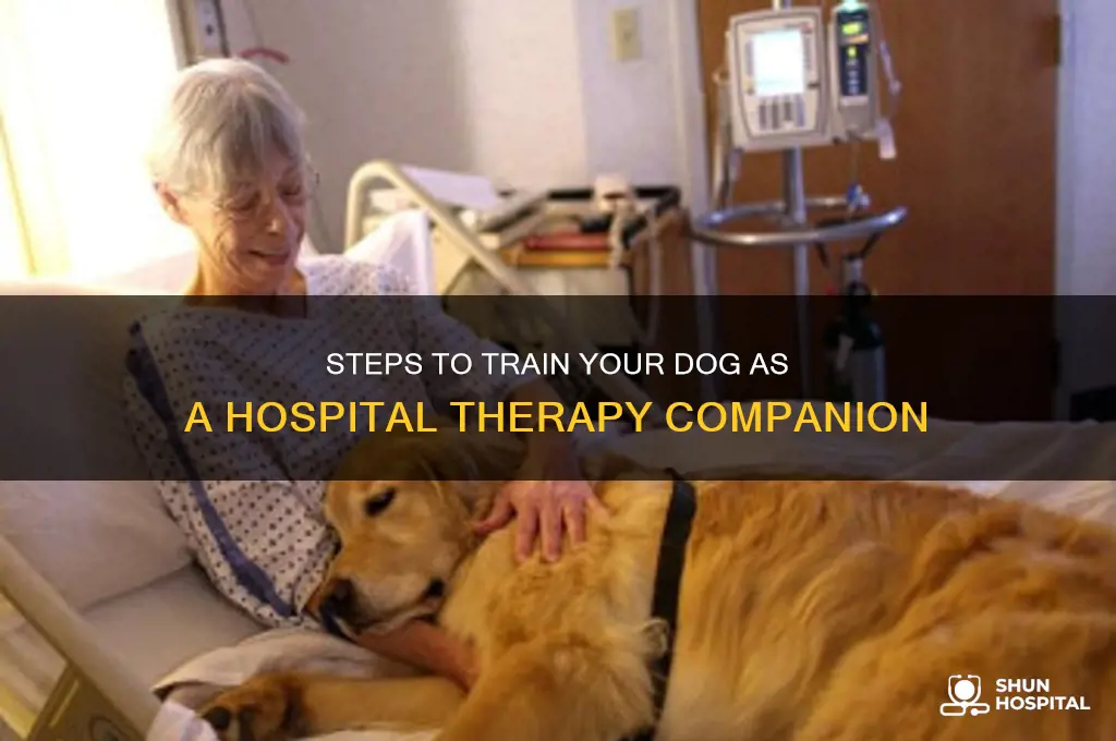 how to become a therapy dog to visit hospitals