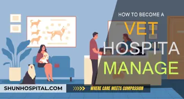 A Vet Hospital Manager's Journey: Steps to Success