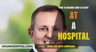 Mastering Leadership: A Guide to Becoming a Hospital Chief of Staff