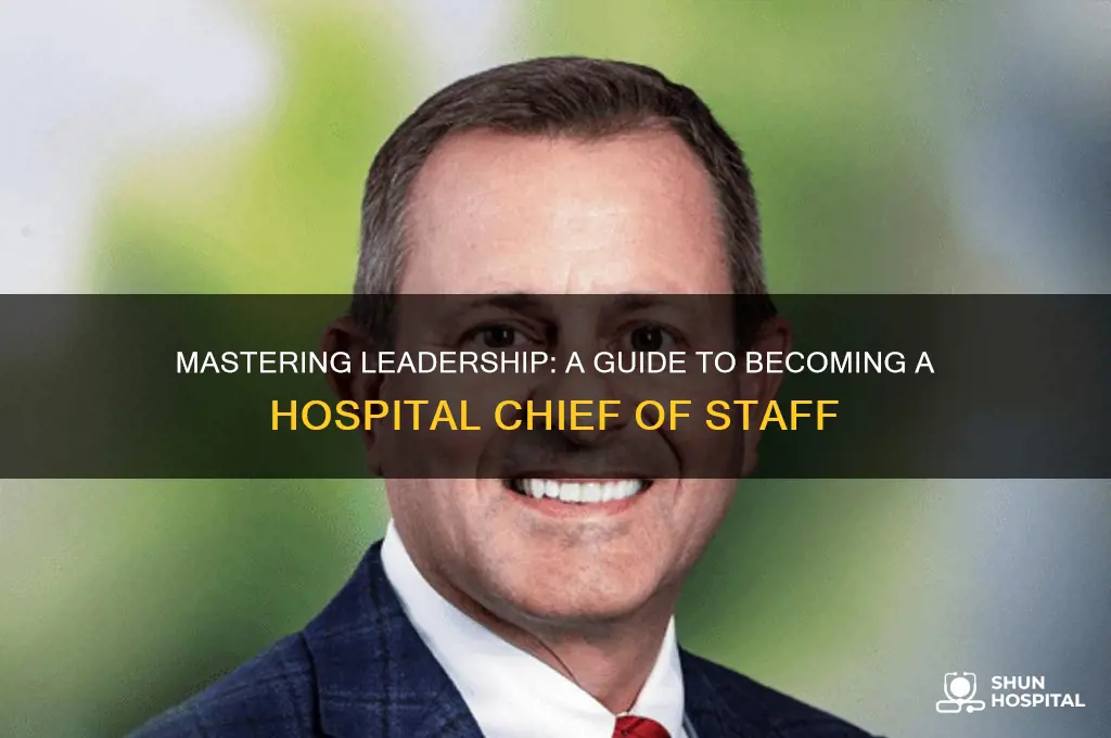 how to become chief of staff at a hospital