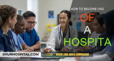 Strategies to Become a Hospital Chief Nursing Officer