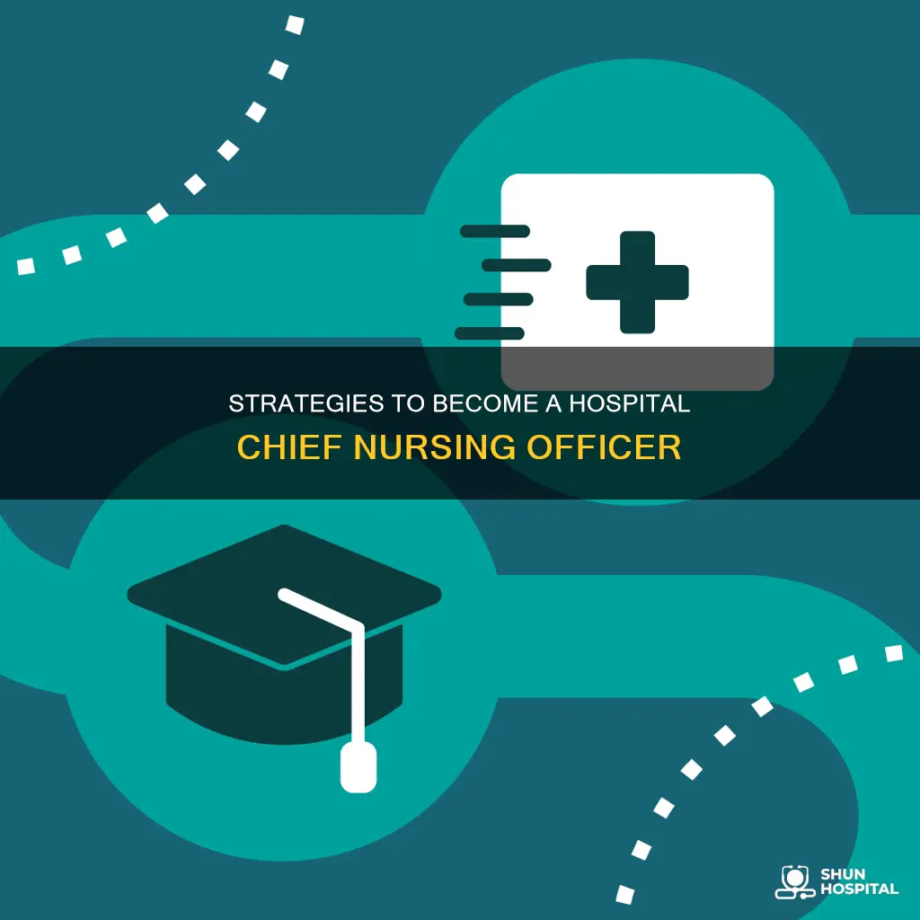 how to become cno of a hospital