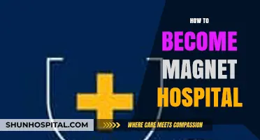 Attracting Excellence: Strategies to Achieve Magnet Hospital Designation
