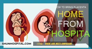 Bringing Placenta Home: What You Need to Know