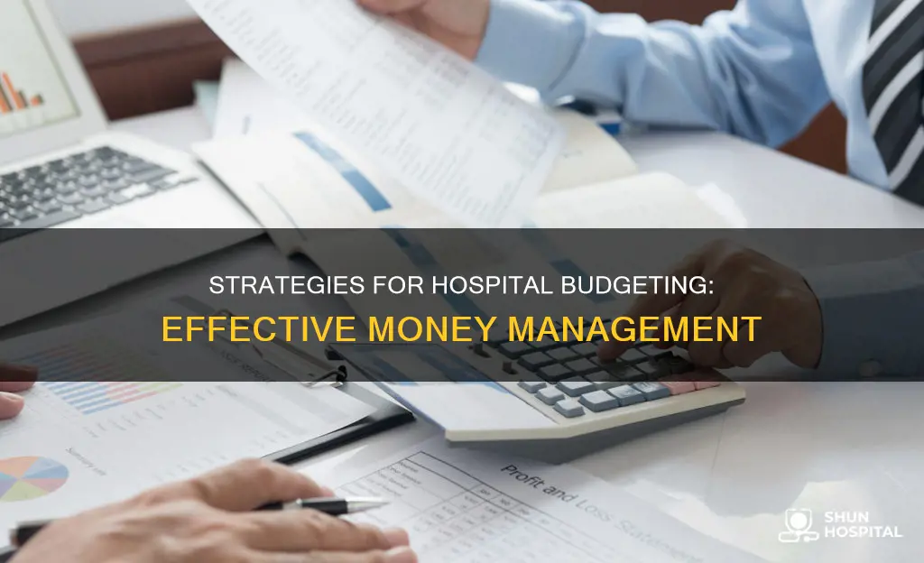 how to budgeting within a hospital detting