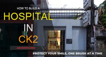 Constructing Hospitals in CK2: A Comprehensive Guide