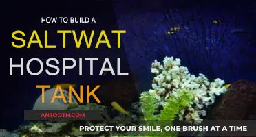 Setting Up a Saltwater Hospital Tank: Step-by-Step Guide