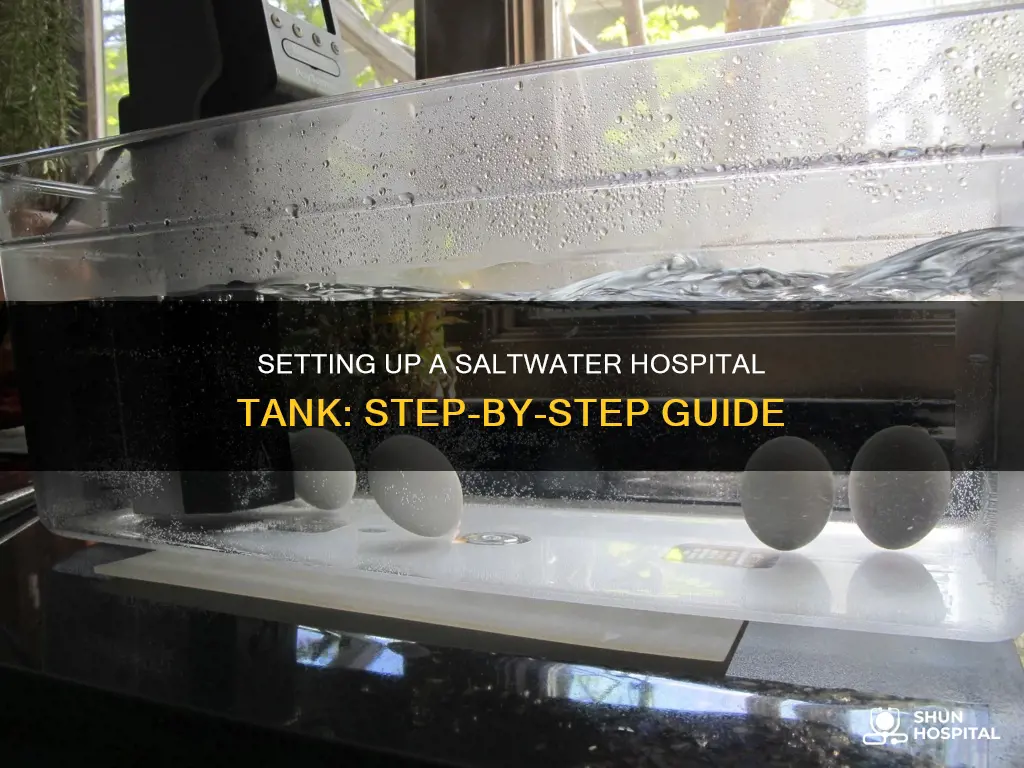 how to build a saltwater hospital tank