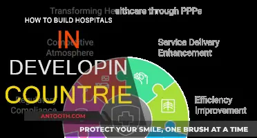 Constructing Hospitals: Developing Nations' Challenges and Strategies