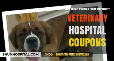 Save on Pet Care: Buying Yelp Electricity Veterinary Hospital Coupons