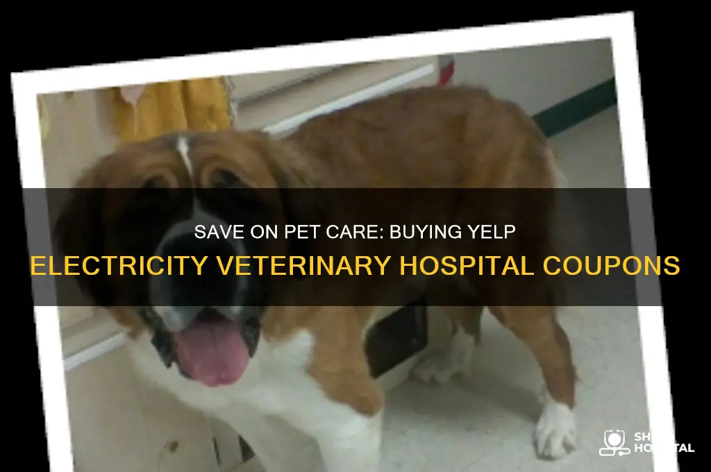 how to buy vocuher from yelptricity veterinary hospital coupons