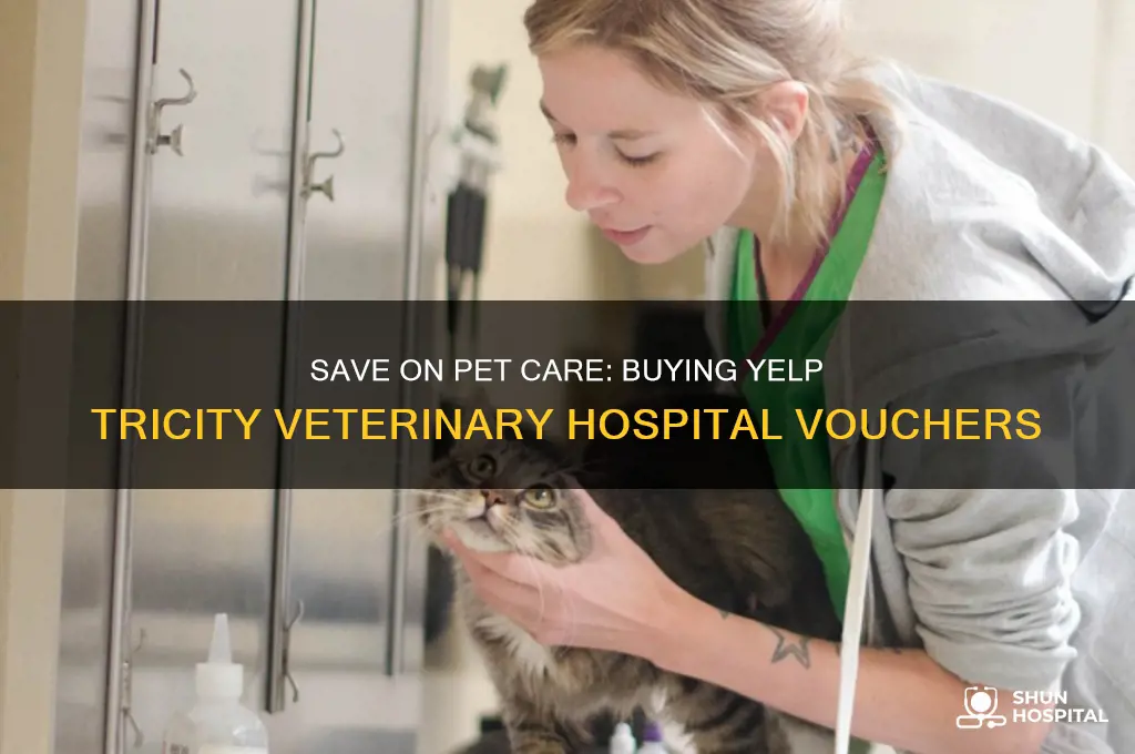 how to buy voucher from yelp tricity veterinary hospital coupons
