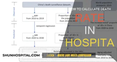 Calculating Hospital Death Rates: A Guide