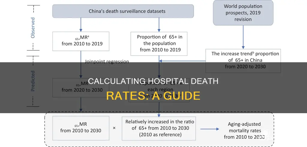how to calculate death rate in hospital