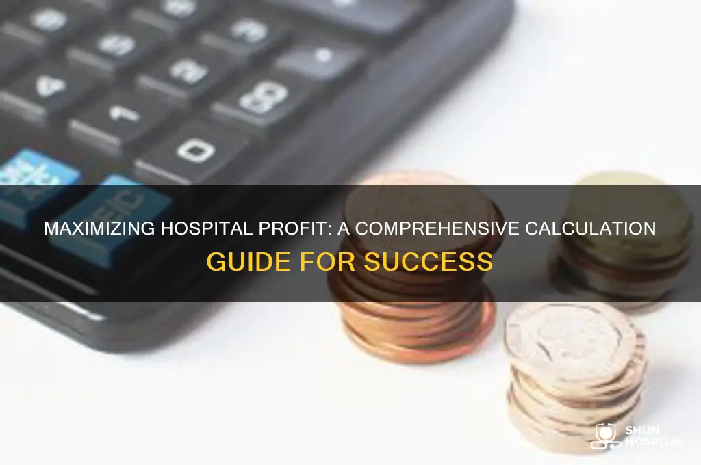 how to calculate hospital profit