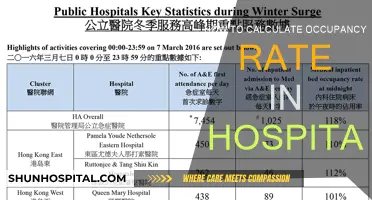 Strategies to Calculate Hospital Occupancy Rates Efficiently