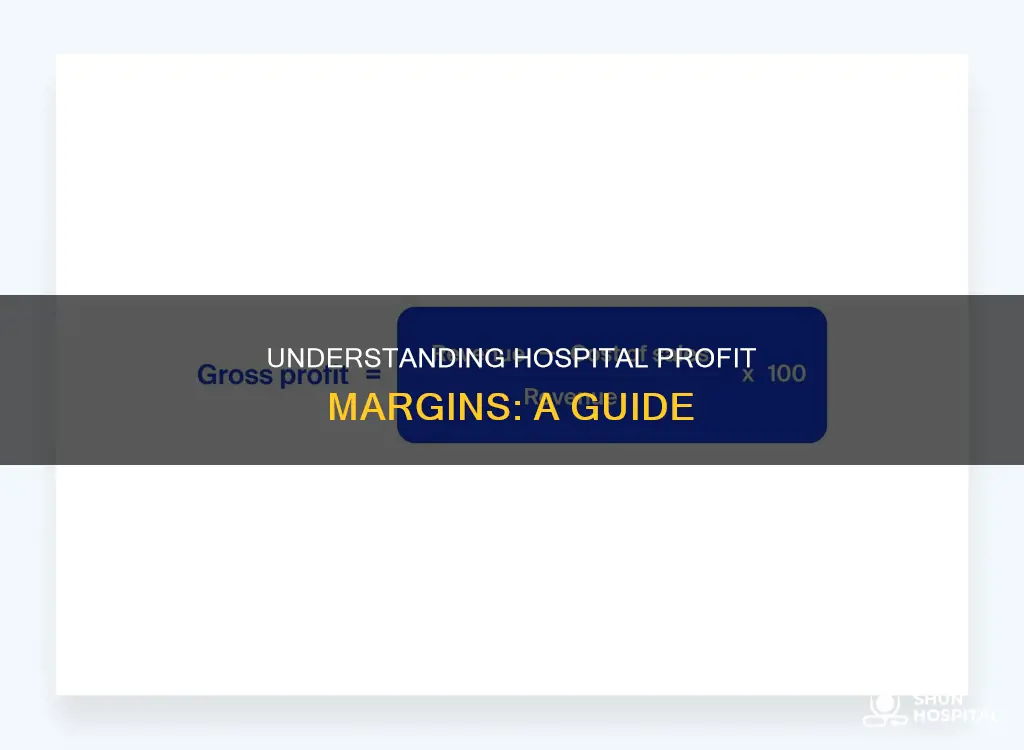 how to calculate profit margin for hospital