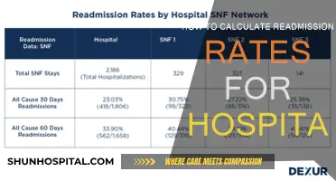 Assessing Hospital Performance: Calculating Readmission Rates