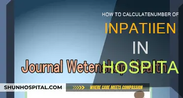 Tracking Hospital Inpatients: Strategies for Efficient Calculation