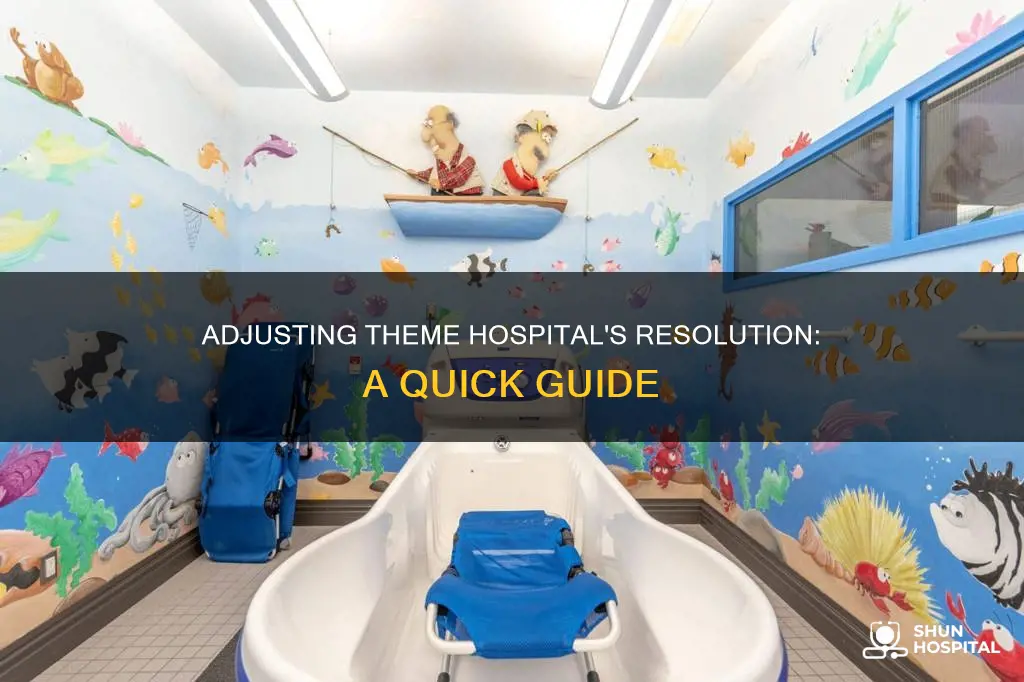 how to change resolution in theme hospital
