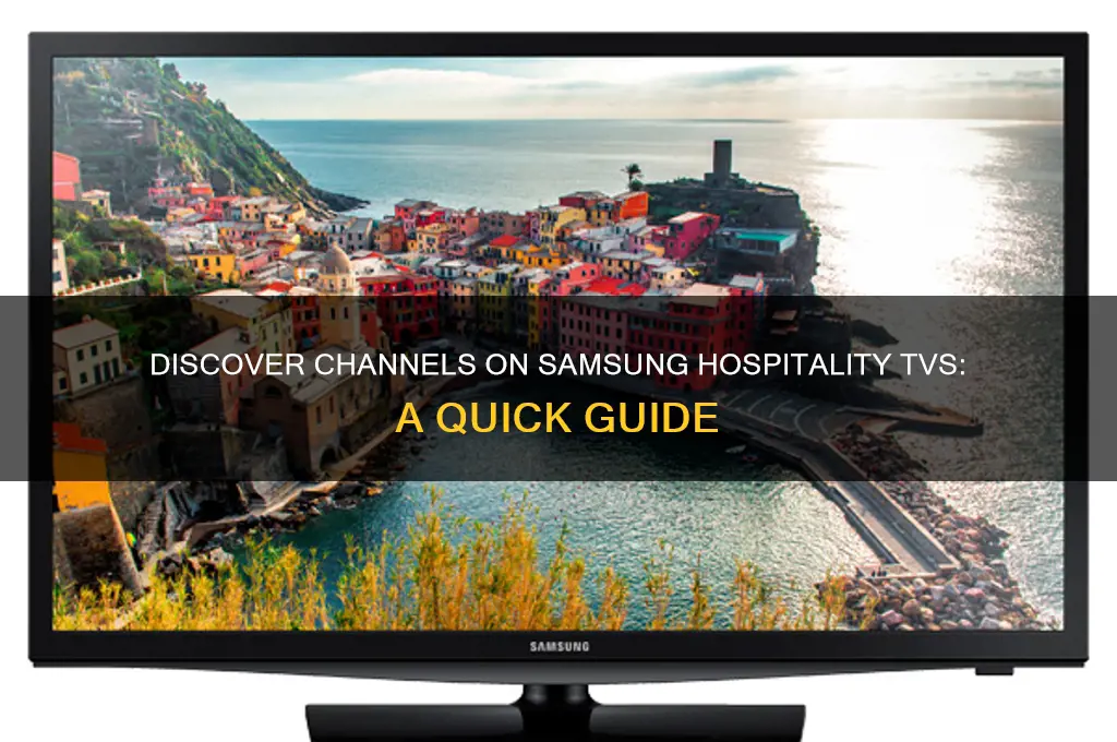 how to check channels available on samsung hospitality tv