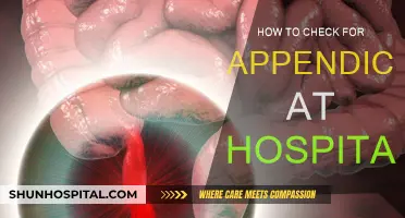 Signs of Appendicitis: When to Head to the Hospital