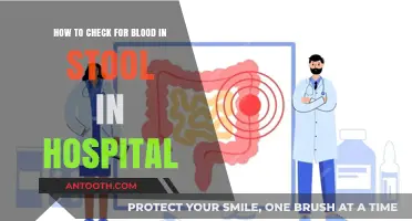 Detecting Blood in Stool: Hospital Procedures and Testing Methods Explained