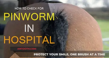 Detecting Pinworms: Hospital Protocol and Best Practices
