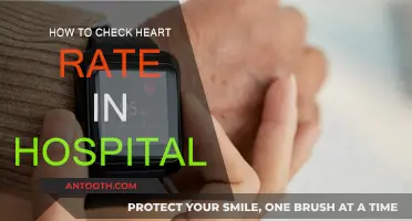 Monitoring Heart Rate: Hospital Techniques for Patients