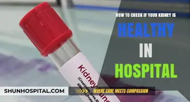 Hospital Kidney Health Check: Essential Tests for Optimal Function