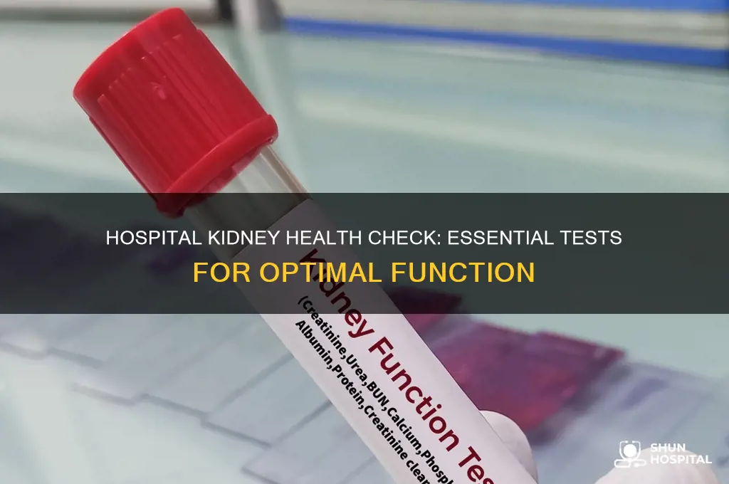 how to check if your kidney is healthy in hospital