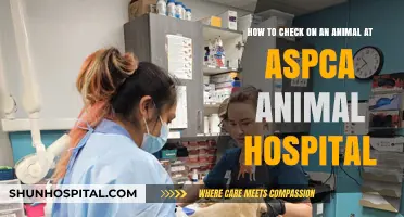 Visiting Your Pet: A Guide to Checking on Animals at ASPCA Hospital
