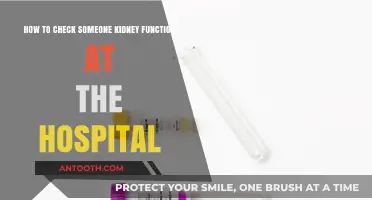 Hospital Kidney Function Testing: A Step-by-Step Guide for Patients