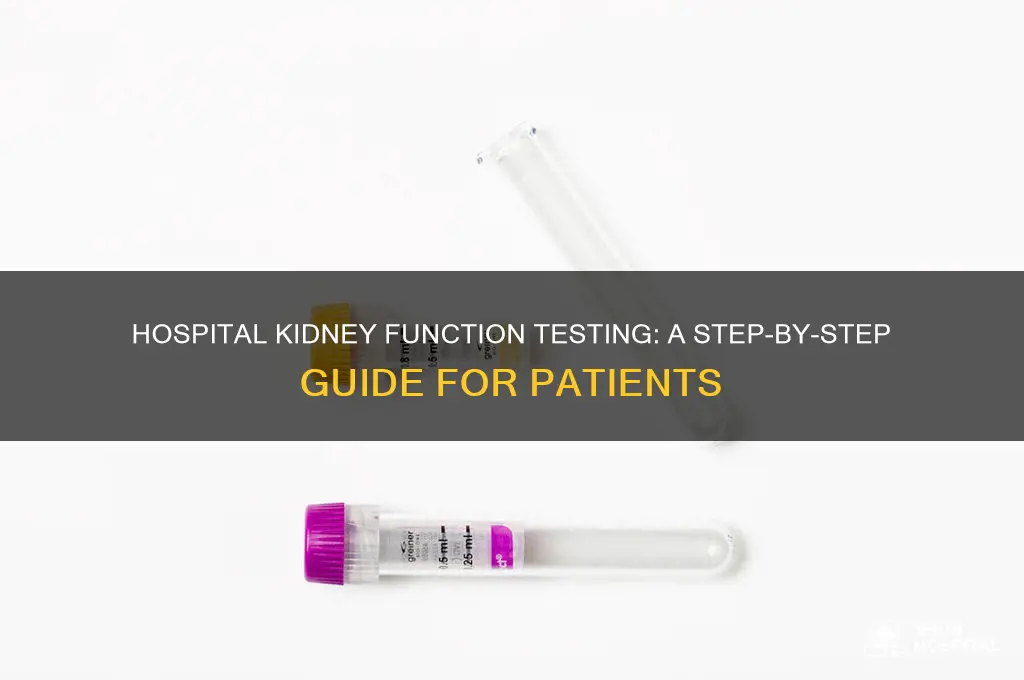 how to check someone kidney function at the hospital