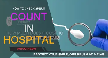 Sperm Testing: What to Expect at the Hospital