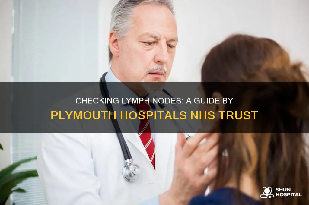 how to check your lymph nodes plymouth hospitals nhs trust