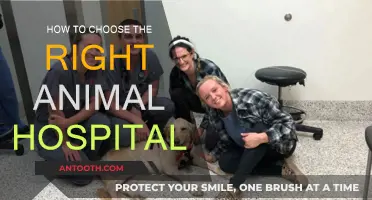 Selecting an Animal Hospital: What Pet Owners Should Consider