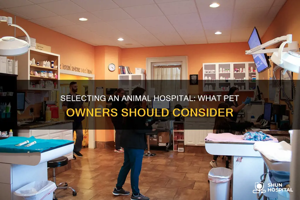 how to choose the right animal hospital