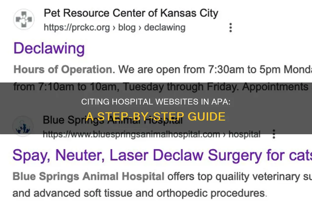 how to cite a hospital website in apa format