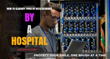Classifying Hospital Data: A Comprehensive Guide to Types and Categories