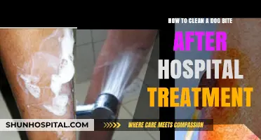 Post-Hospital Care: Cleaning and Caring for Your Dog Bite Wound