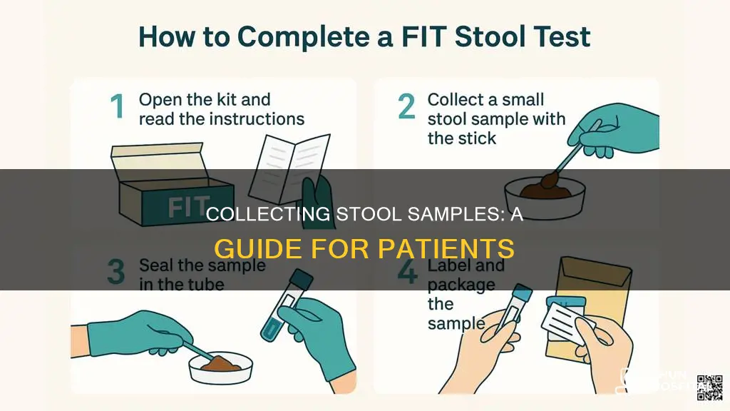 how to collect stool sample in hospital