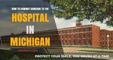 Michigan Mental Health Commitment: A Guide to Hospitalization Process