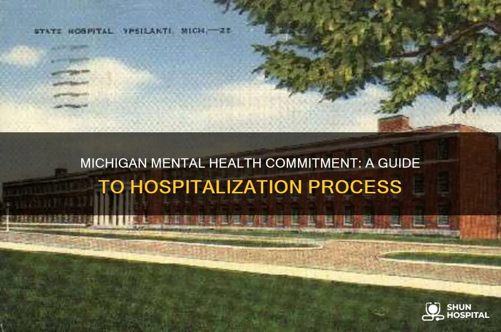 how to commit someone to the hospital in michigan
