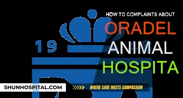 Animal Hospital Complaints: What to Do?