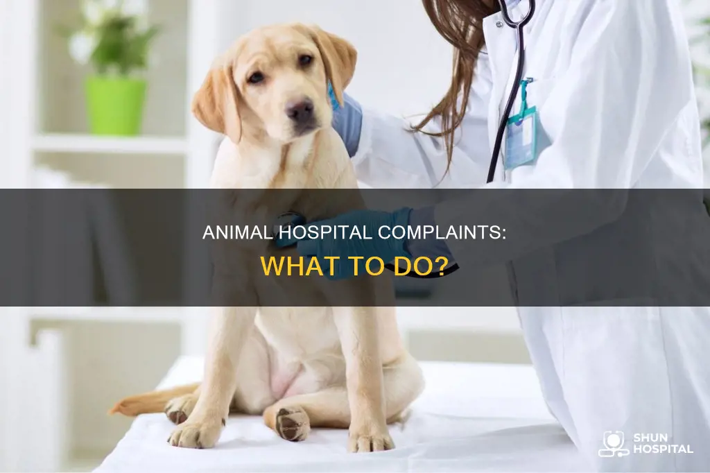 how to complaints about oradell animal hospital