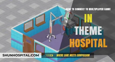 Connect to Theme Hospital Multiplayer: A Step-by-Step Guide