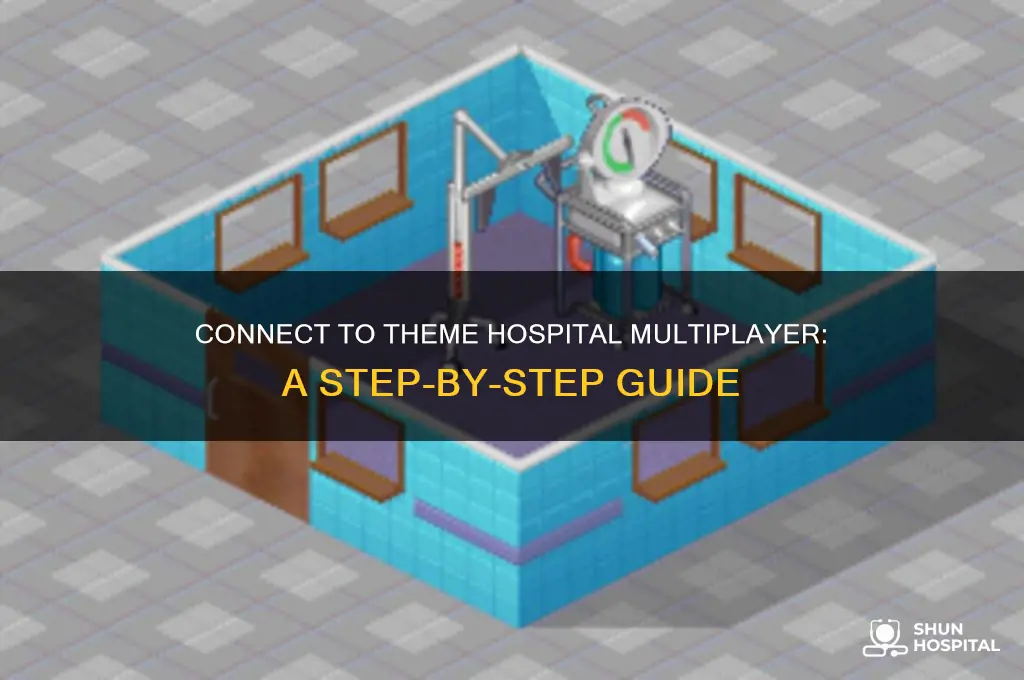 how to connect to multiplayer game in theme hospital